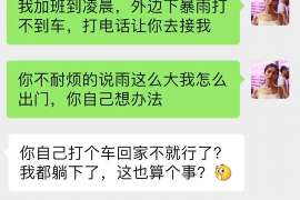 若尔盖侦探公司我成了别人眼中的大龄剩女